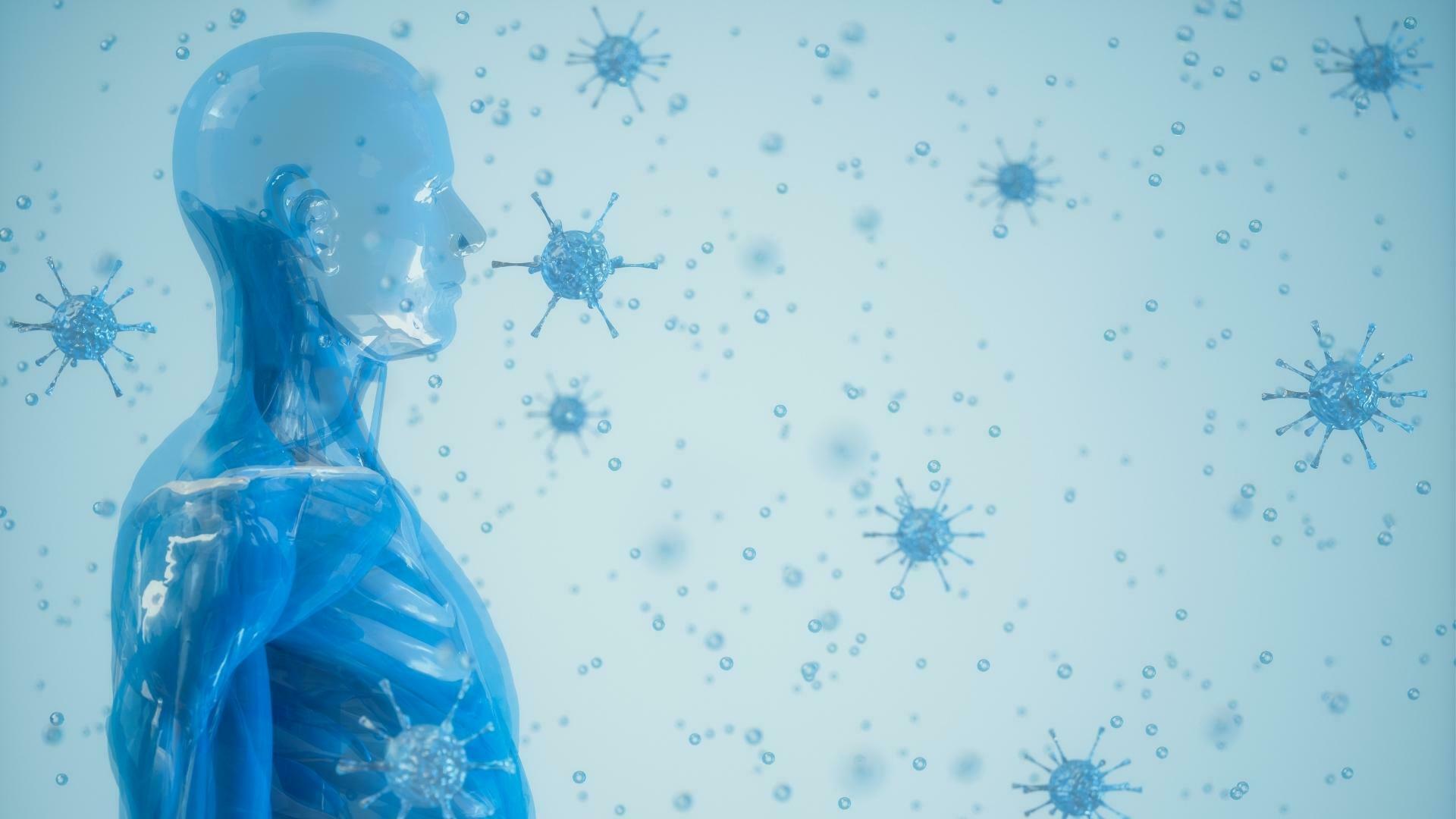 Immunsystem