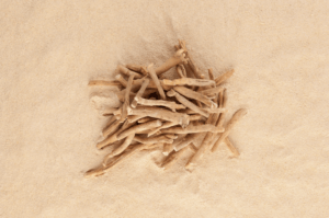 Ashwagandha Supplement von @eskimaks von Getty Images