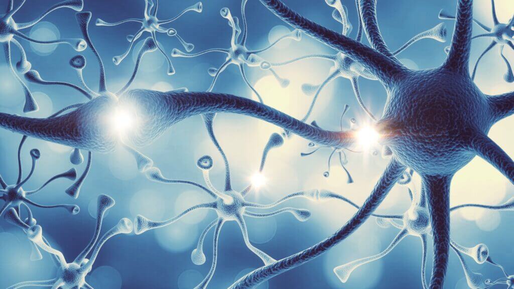 Neurotramsmitter