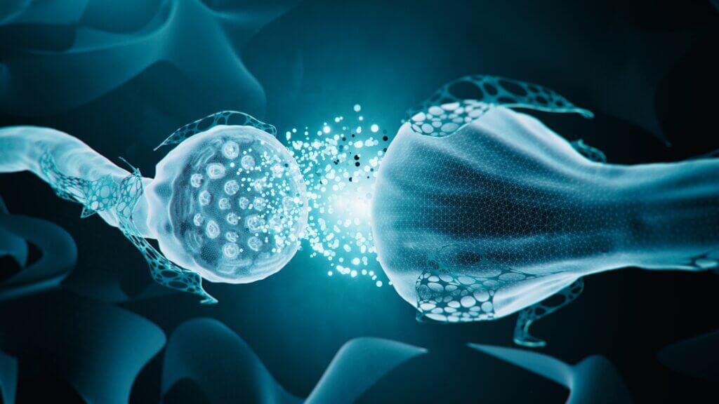 Neurotransmitter Stoffwechsel