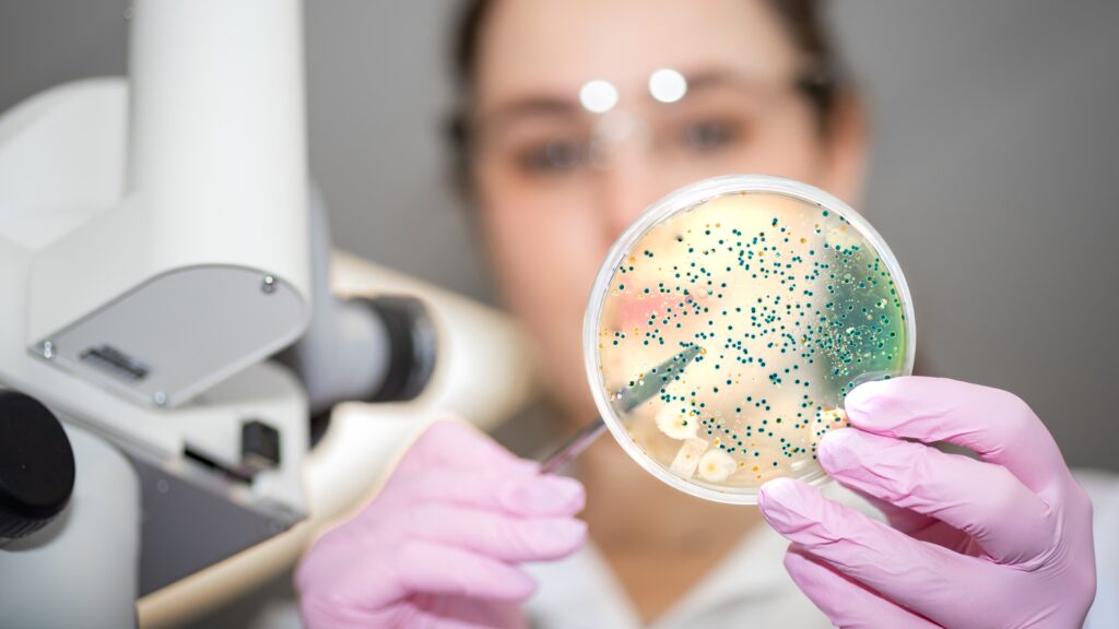 Mikrobiom in der Onkologie