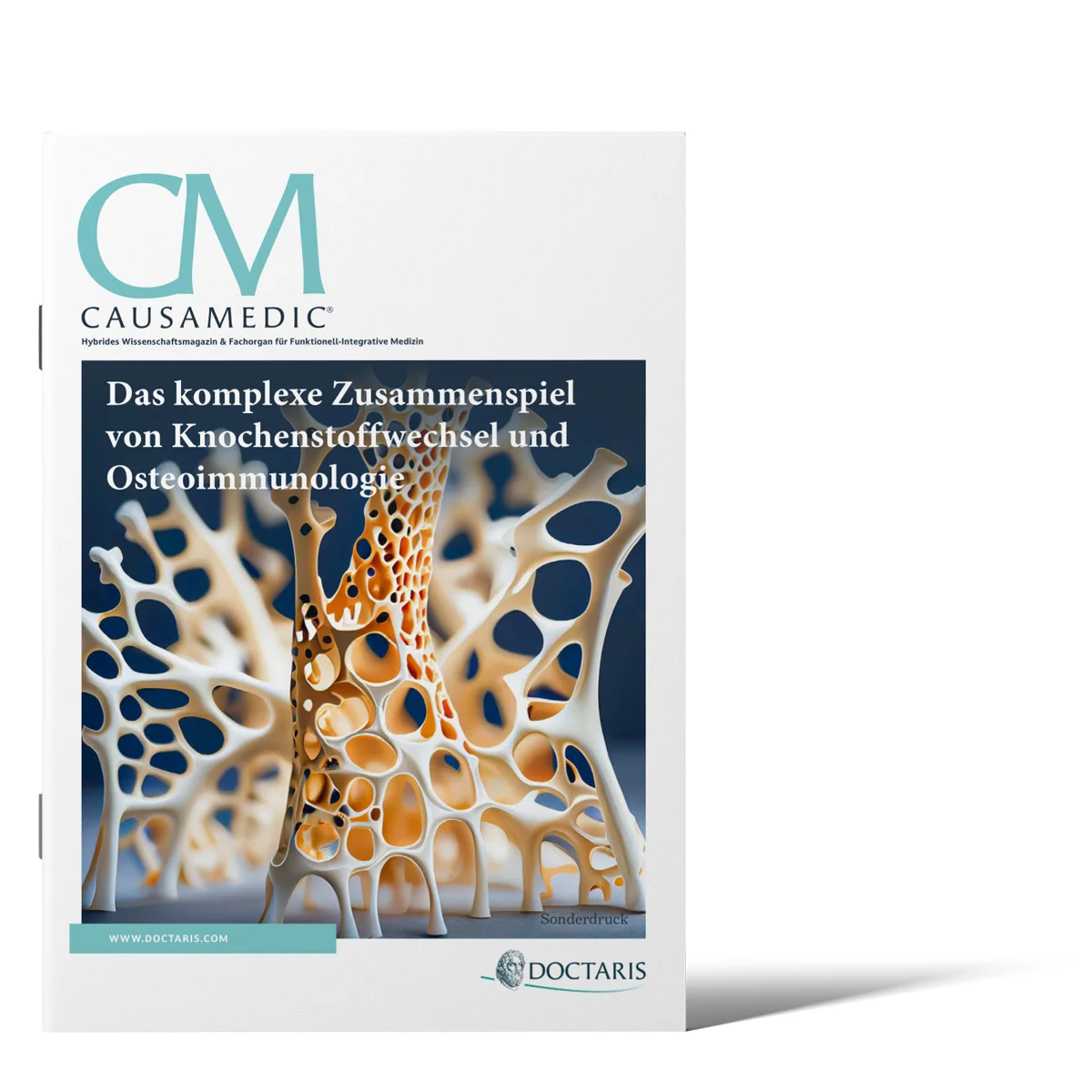 das komplexe zusammenspiel von knochenstoffwechsel und osteoimmunologie