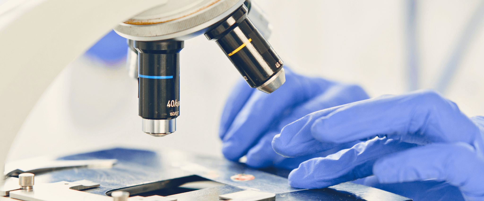 Regulierung der Autophagie durch perilysosomales Calcium und dessen