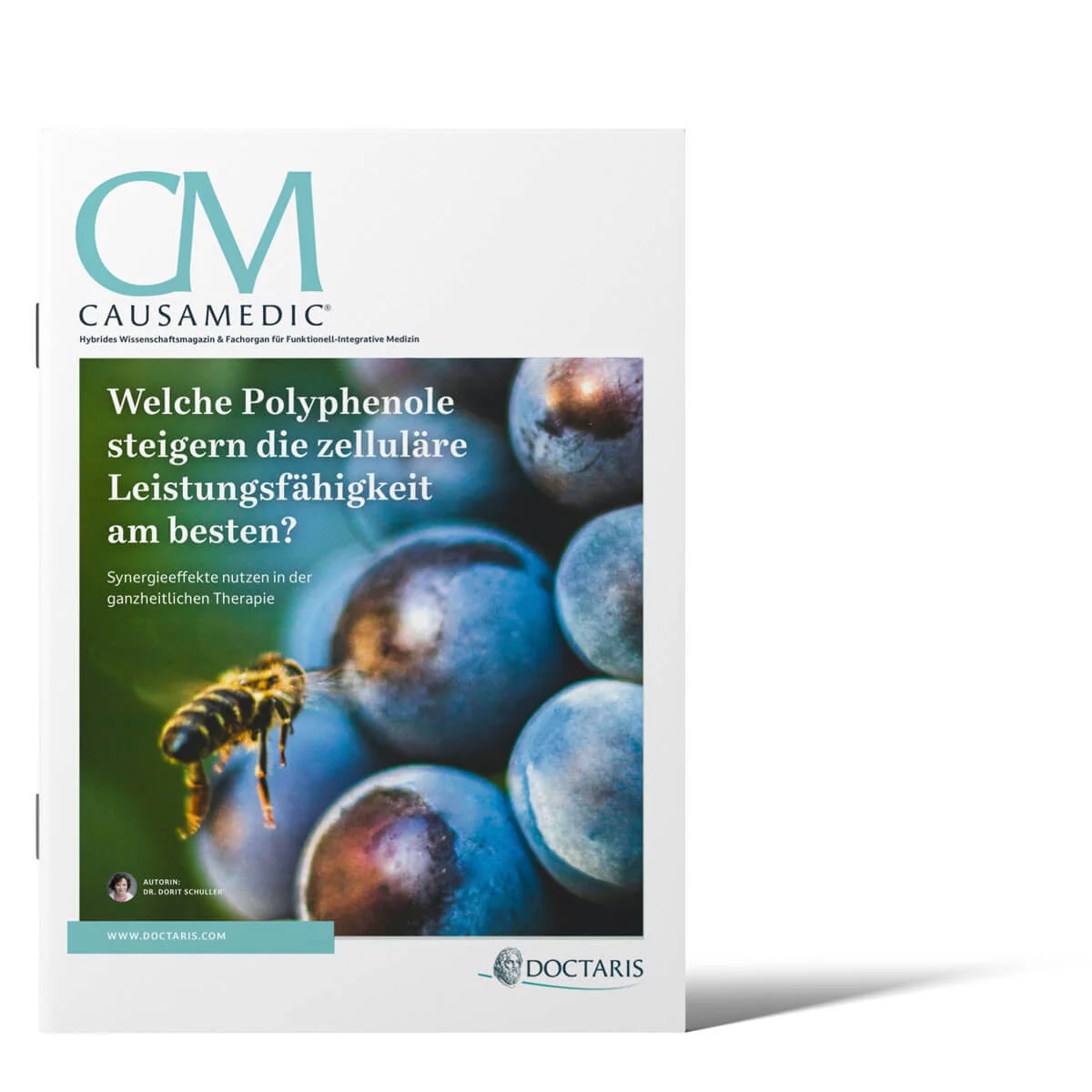 welche polyphenole steigern die zelluläre leistungsfähigkeit am besten?