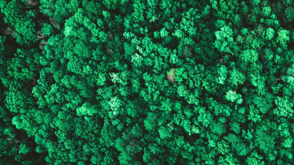 borreliose fortbildung