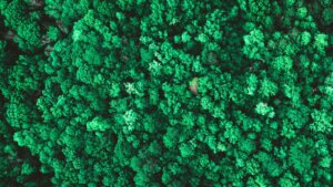 borreliose fortbildung
