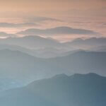 gemmotherapie in der integrativen frauenheilkunde