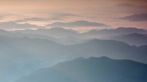 gemmotherapie in der integrativen frauenheilkunde