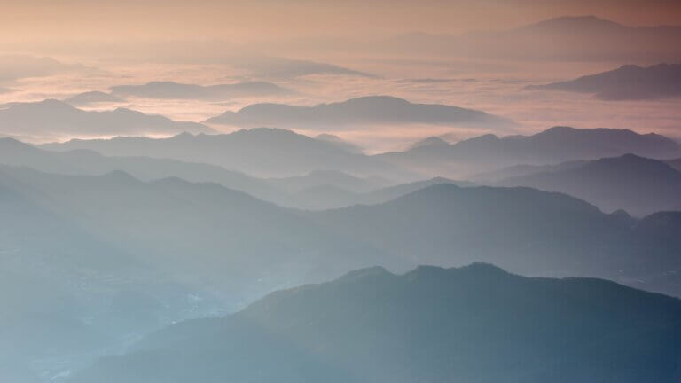 gemmotherapie in der integrativen frauenheilkunde