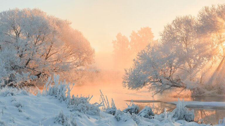 gesundes altern beginnt im darm – autophagie und spermidin als schlüssel zur zellgesundheit