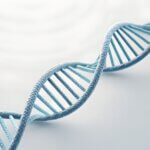 kreatin und longevity zellenergie als schlüssel für gesundes altern