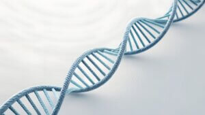 kreatin und longevity zellenergie als schlüssel für gesundes altern