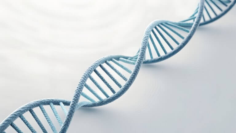 kreatin und longevity zellenergie als schlüssel für gesundes altern