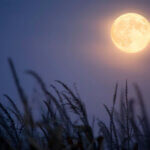 schlafstörungen in der praxis labordiagnostik als wegweiser zur personalisierten therapie