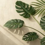 immun reset wege aus der allergischen fehlregulation mit mikroimmuntherapie