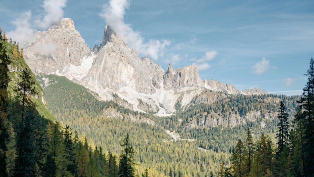lebererkrankungen aus mikronährstoffsicht