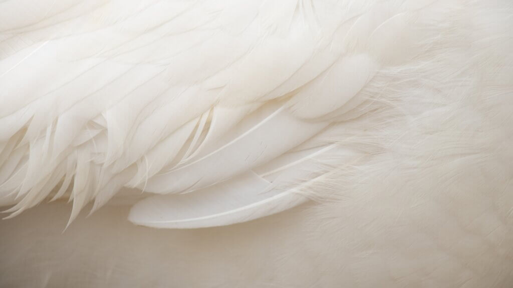 schlafstörungen wie können laboranalysen helfen