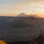 biomarker bei depression