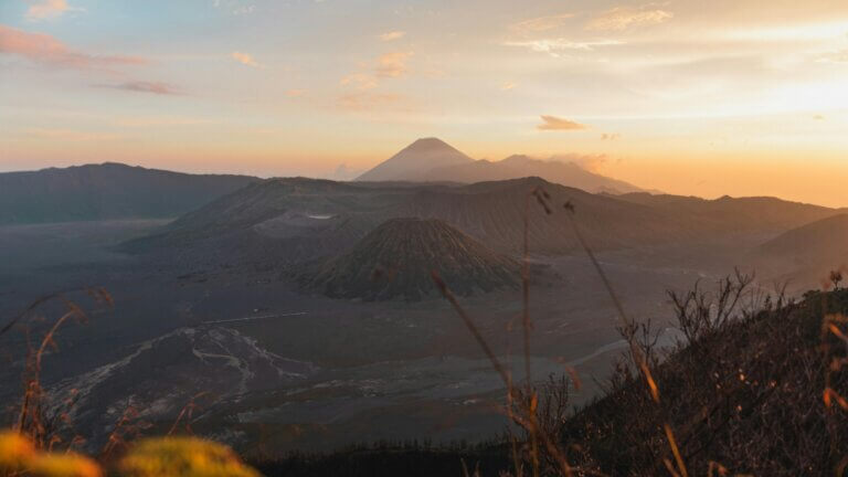 biomarker bei depression