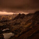 dna analysen in der personalisierten medizin