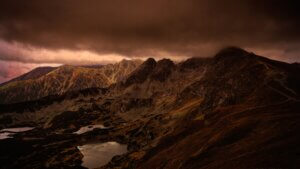 dna analysen in der personalisierten medizin