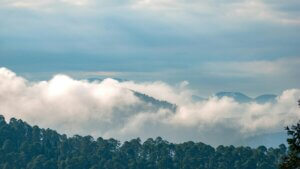 gastritis und reizmagen pathophysiologie und integrative behandlungskonzepte