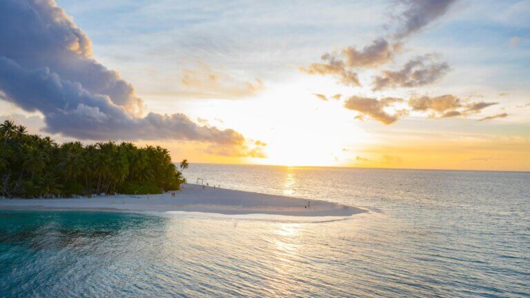 mikrozirkulation und endothelfunktion