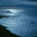 online kongress darm & mikrobiom 2026