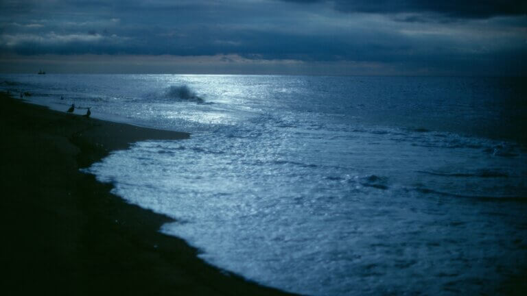 online kongress darm & mikrobiom 2026