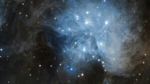 darm hirn achse rolle des enterischen nervensystems und von mikronährstoffen in der regulation von psyche und nervensystem