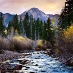 darm und leber auf achse ganzheitlicher therapieansatz bei fettleber